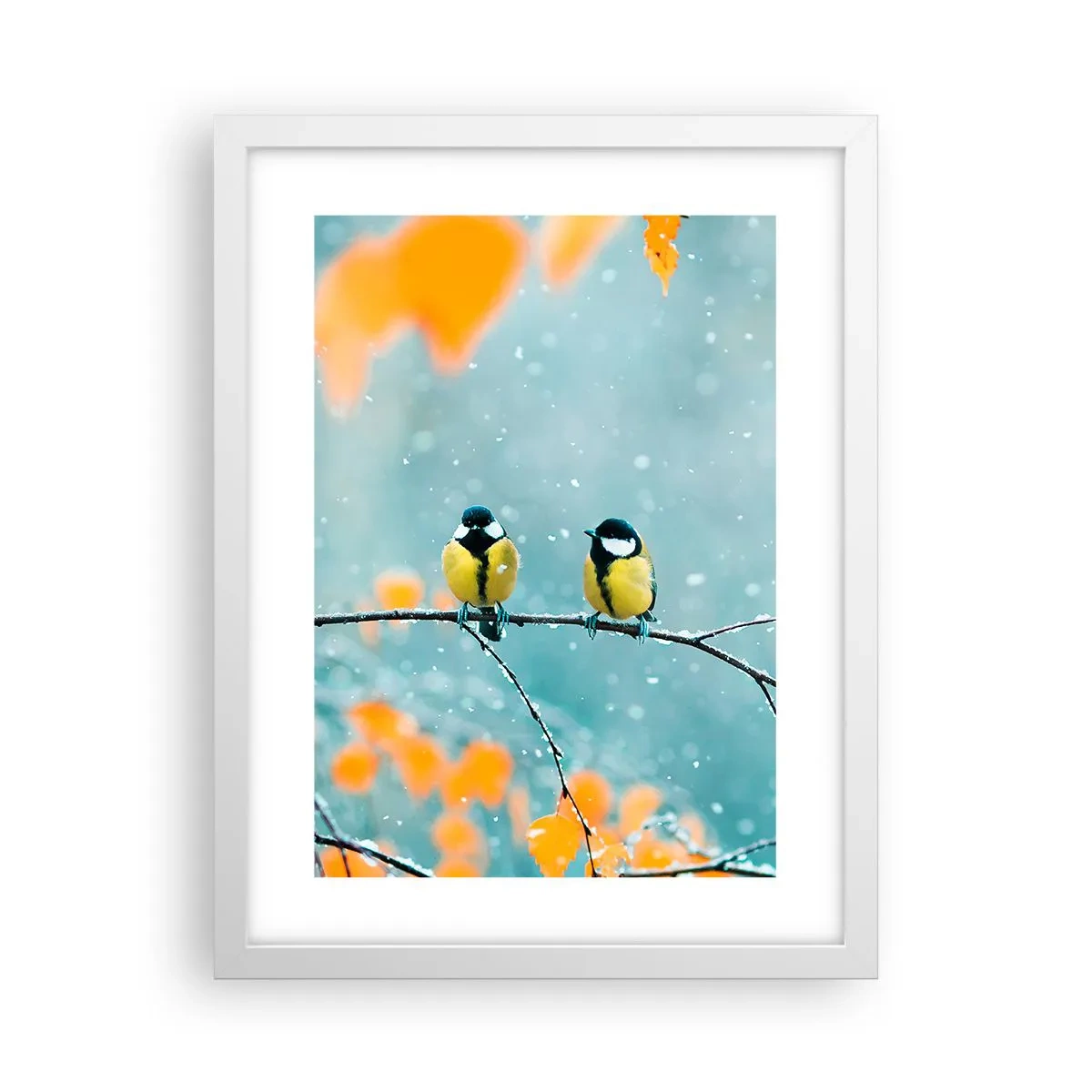 Poster in een witte lijst - Vogelroddel - 30x40 cm