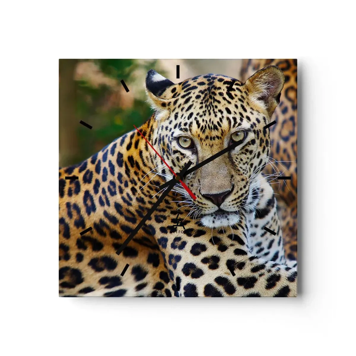 Wandklok - Klok - Wild en kalm - 30x30 cm