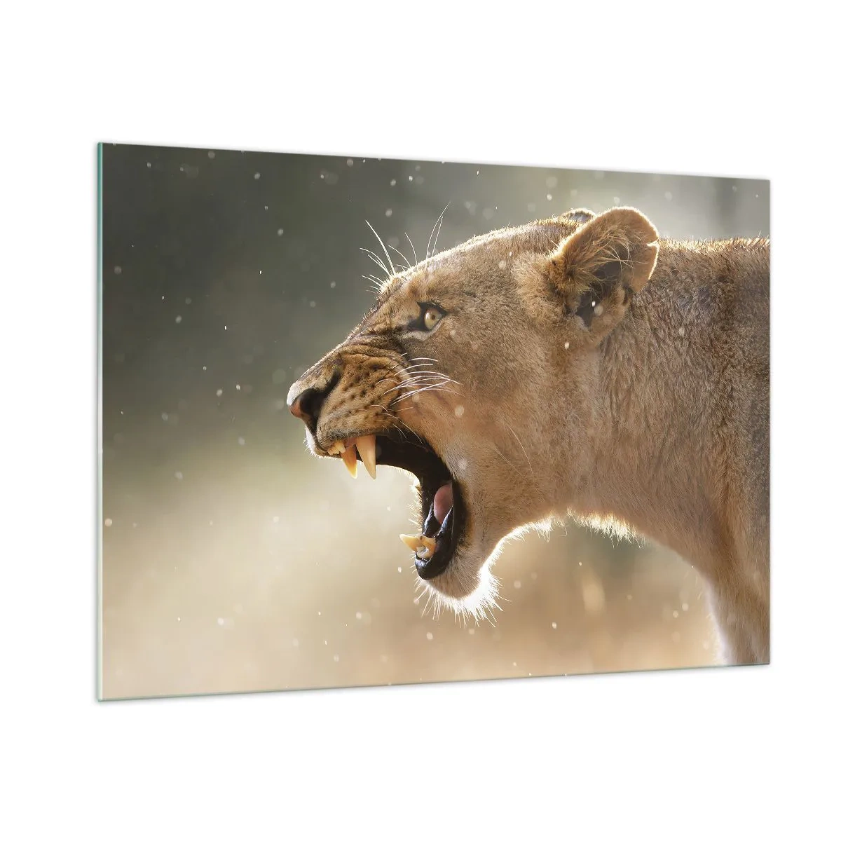 Schilderen op glas - Probeer niet te luisteren - 100x70 cm