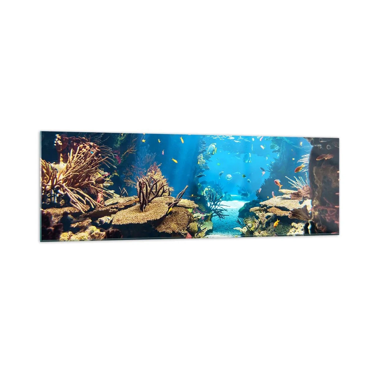 Schilderen op glas - Je hebt het niet eens gedroomd - 160x50 cm