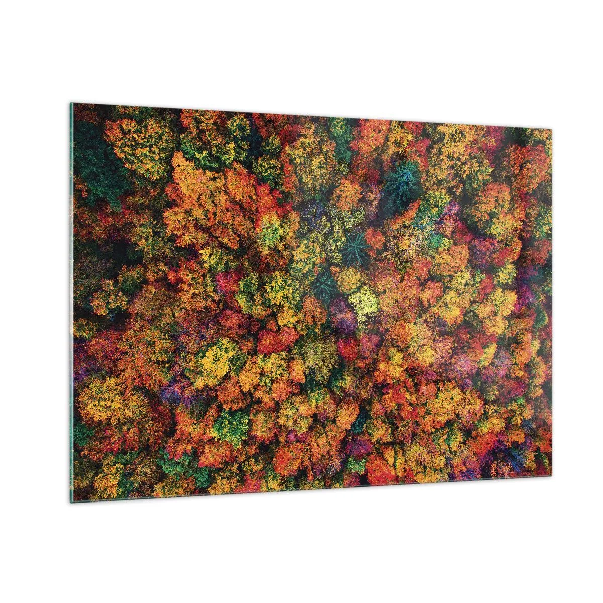 Schilderen op glas - Boeket herfstbomen - 100x70 cm