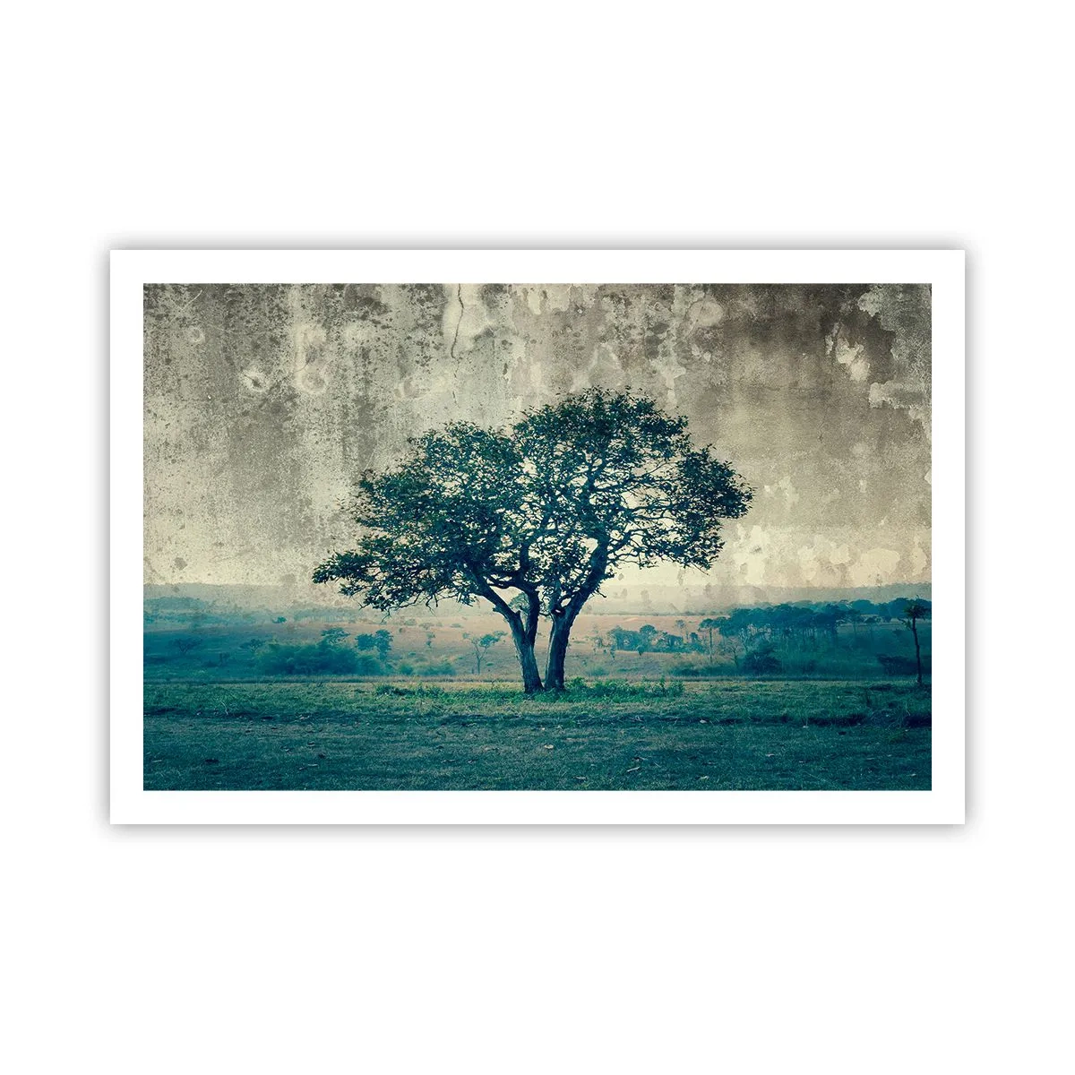 Poster - Een appelboom op een blauw veld? - 91x61 cm