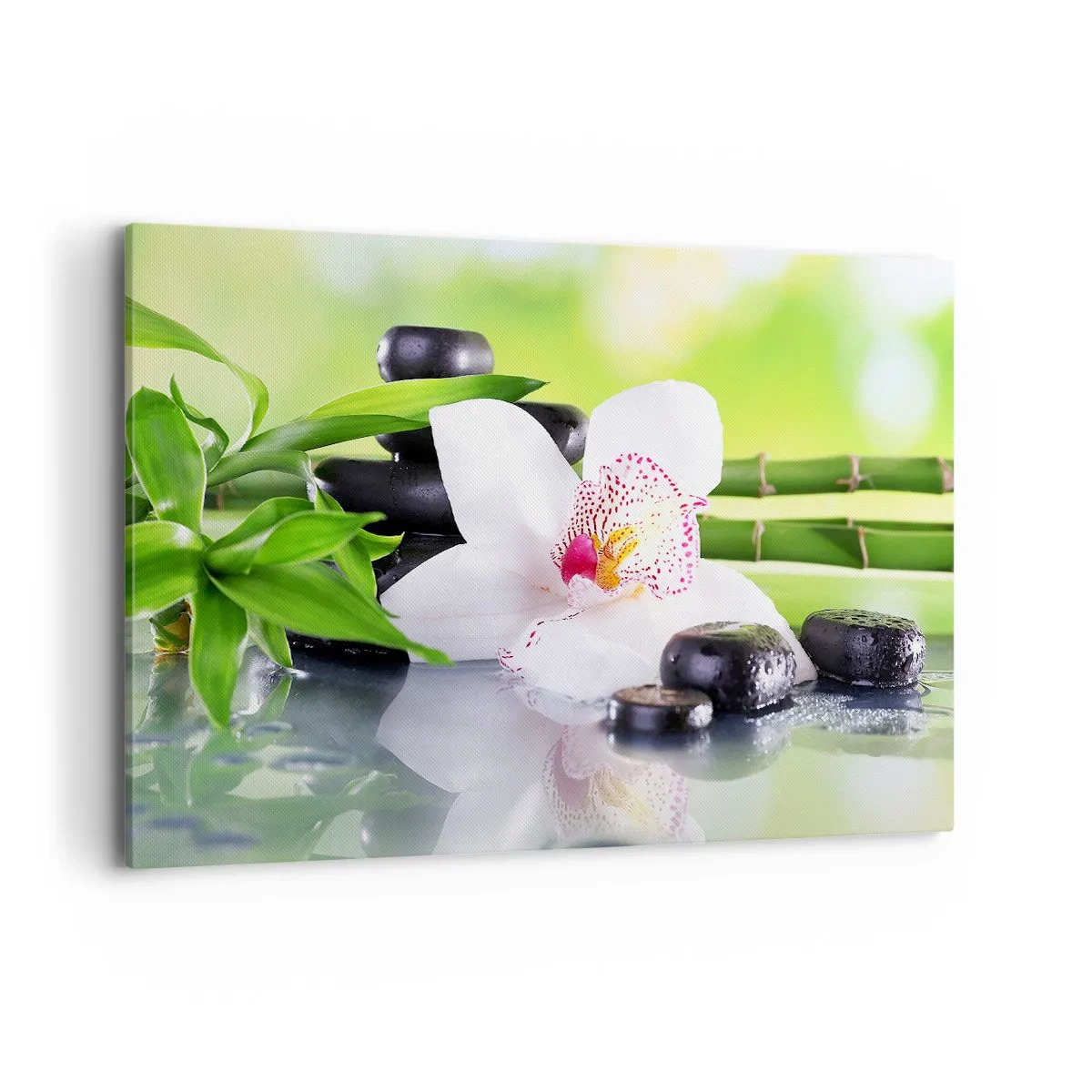 Schilderen op canvas - Koele frisheid - 100x70 cm