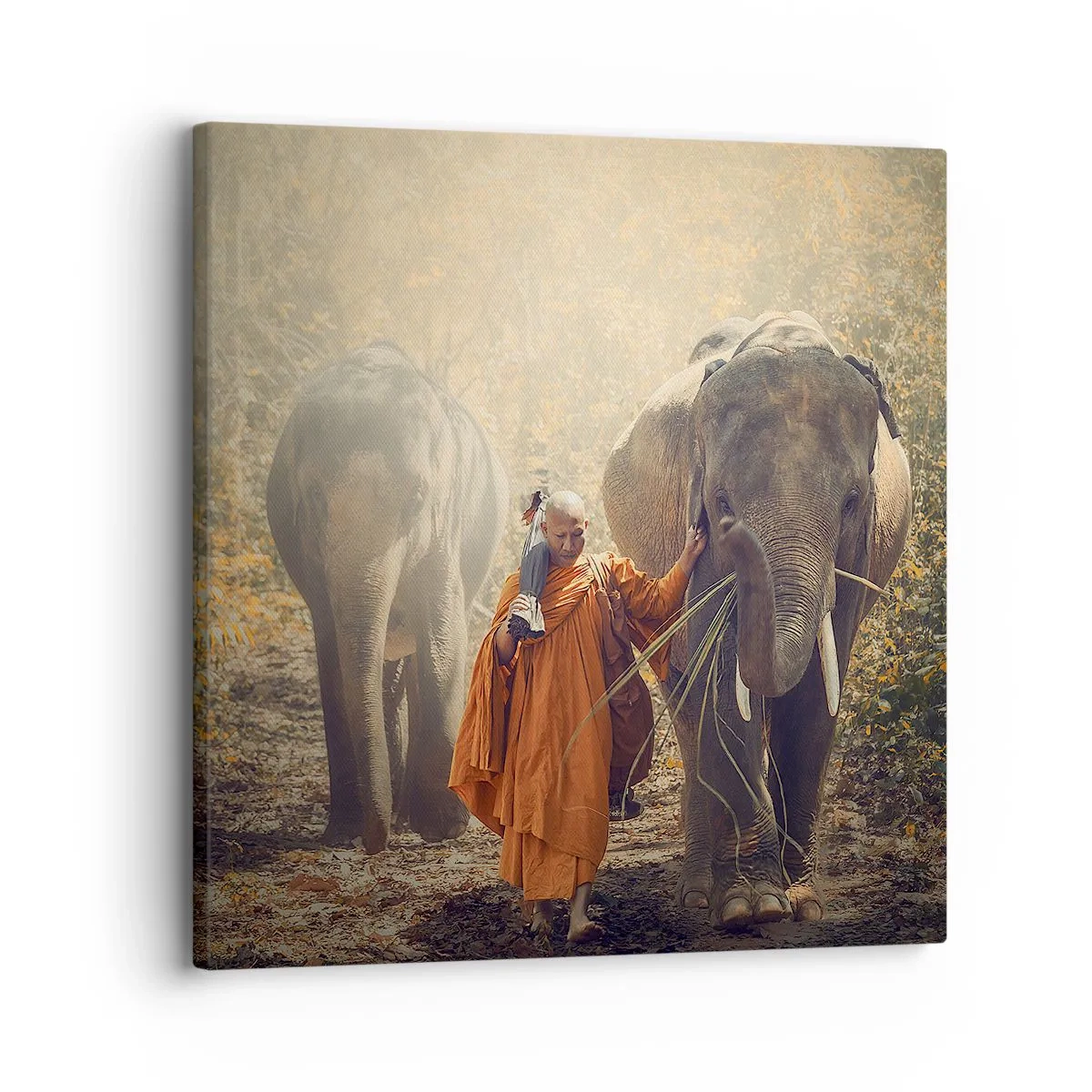 Schilderen op canvas - Volledig begrip - 30x30 cm