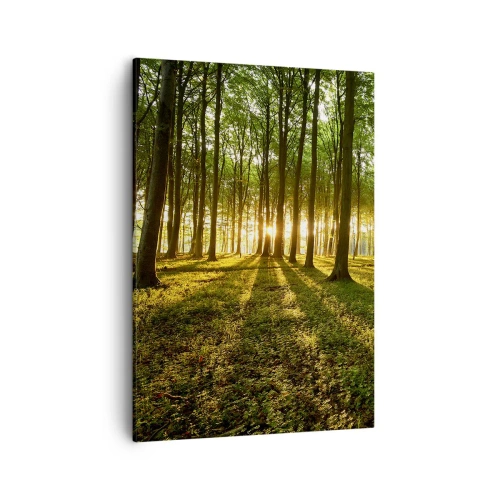 Schilderen op canvas - Foto van de hele lente - 50x70 cm