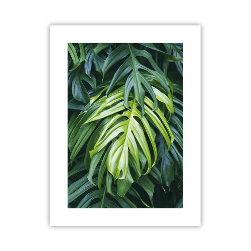 Poster - Dompel jezelf onder in de frisheid - 30x40 cm