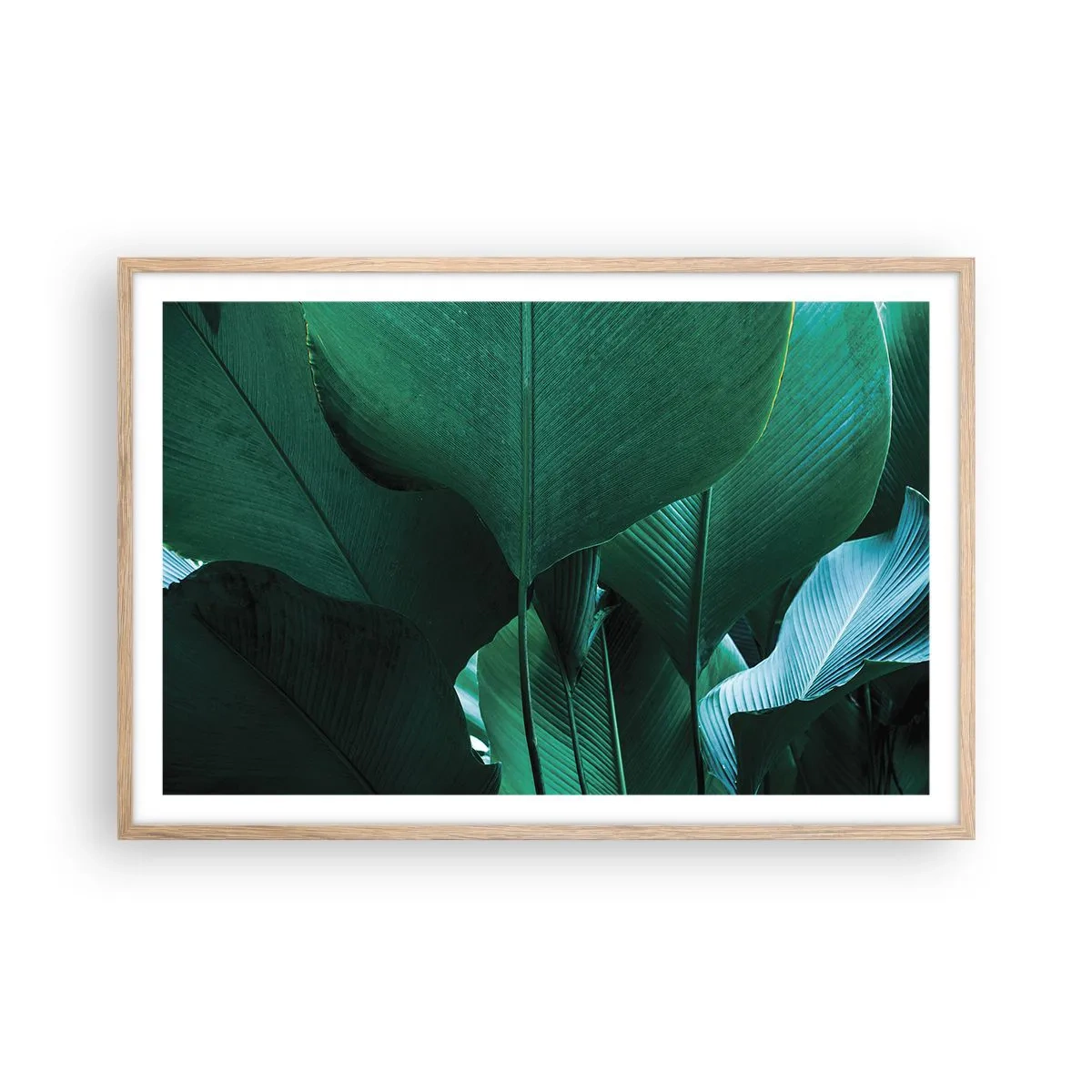 Een poster in een licht eiken lijst - Naar het licht gekeerd - 91x61 cm
