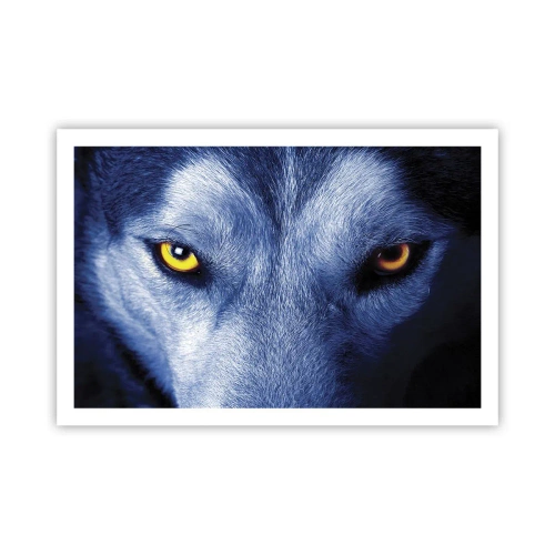 Poster - Betoverende look - 91x61 cm