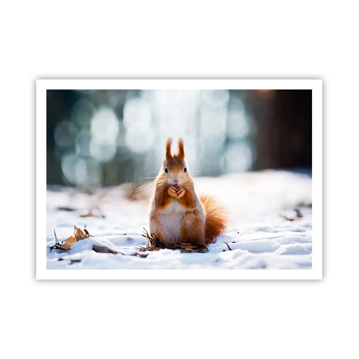 Poster - Waar kijk je naar? - 100x70 cm