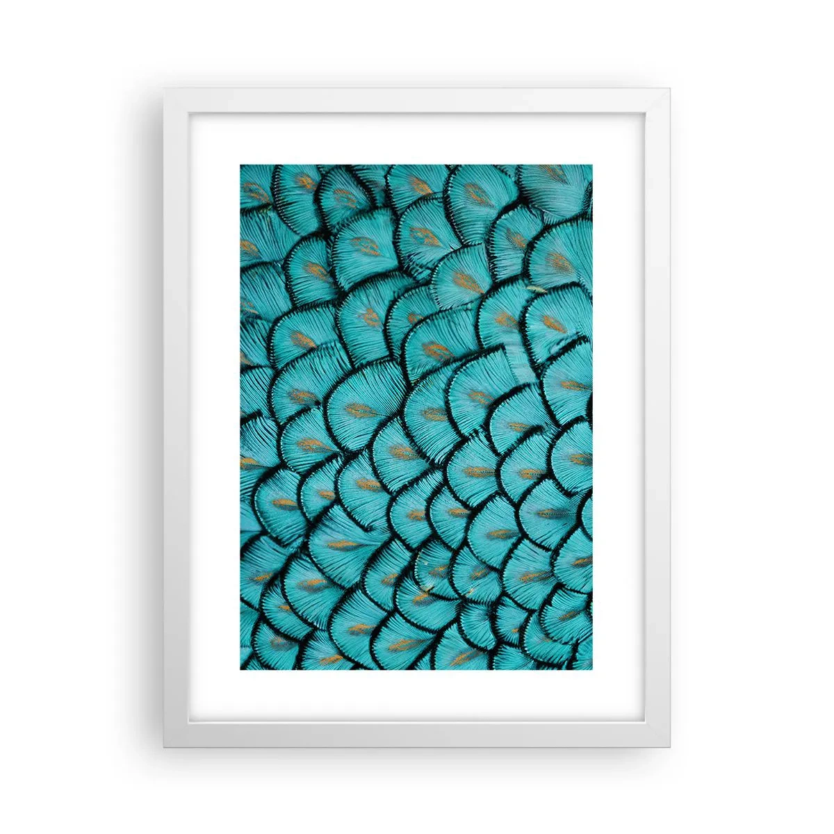 Poster in een witte lijst - Het grote verengala - 30x40 cm