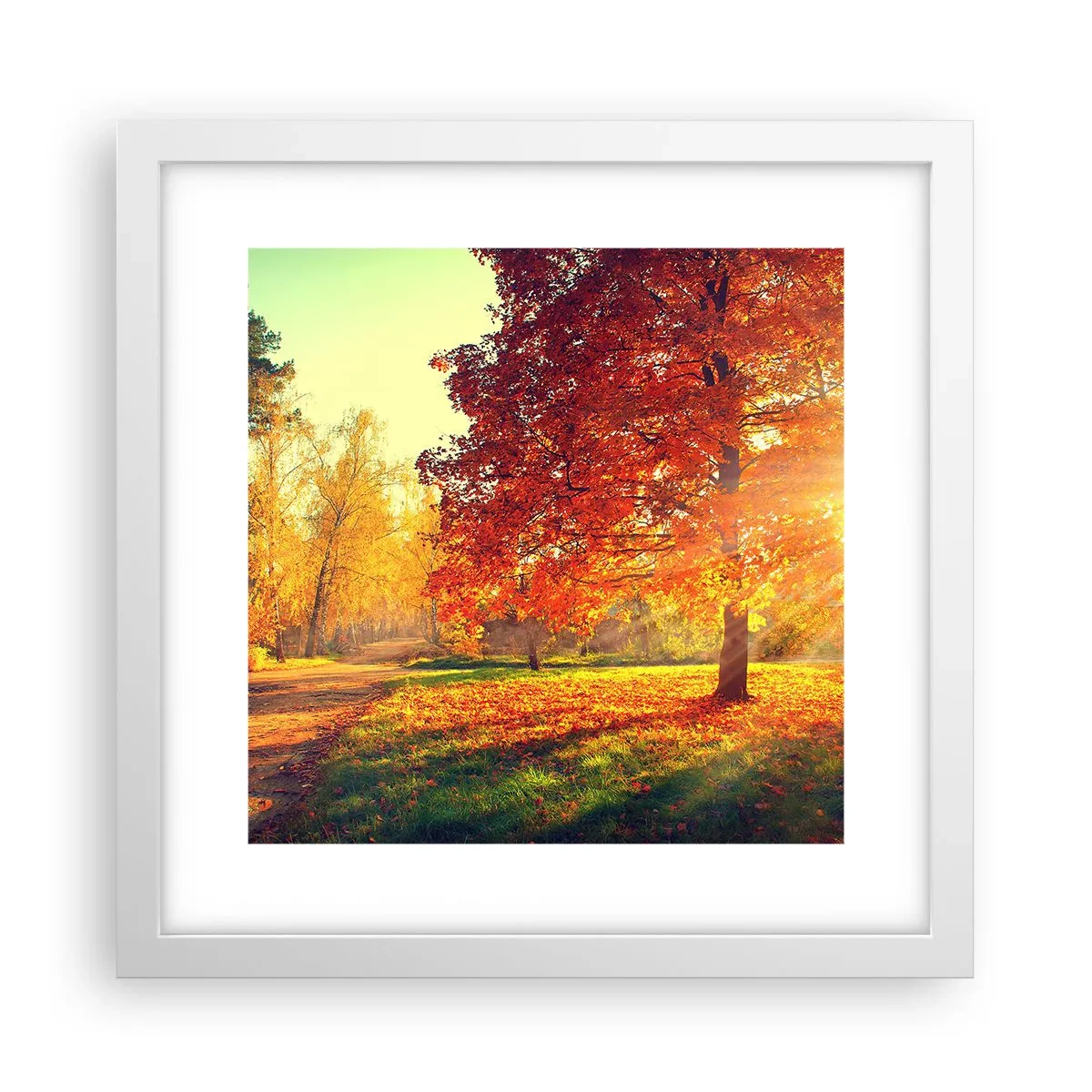 Poster in een witte lijst - Rood is mooi - 30x30 cm