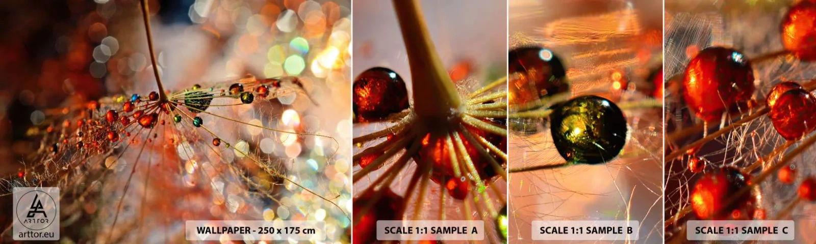 Fotobehang Staaltje Standard Eco - Geregen op een spinnendraad - Abstractie, spinnenweb, Deel - 100x30 cm
