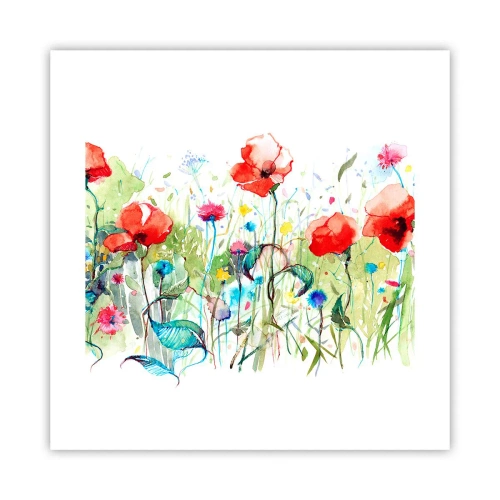 Poster - Bloeiende meiweide - 40x40 cm
