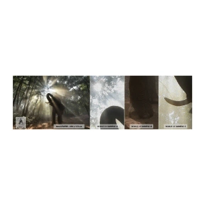 Fotobehang Monster Premium Sand - Onder de gelukkige ster - Landschap, Olifant, Oerwoud - 100x30 cm