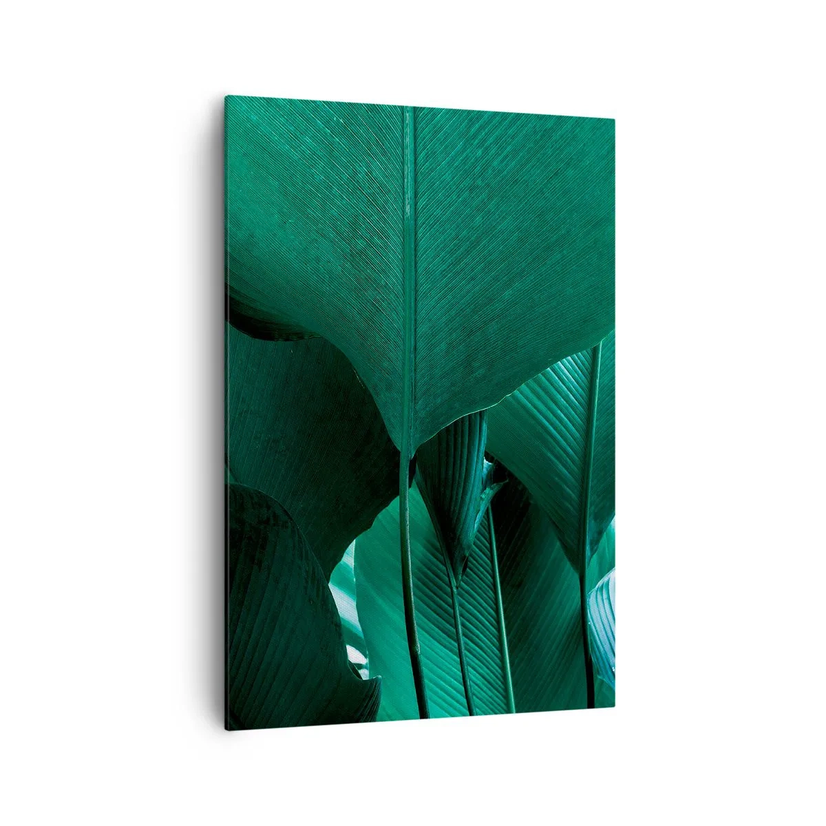 Schilderen op canvas - Naar het licht gekeerd - 70x100 cm