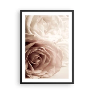 Poster in een zwarte lijst - Delicate crèmekleurige rozen van dichtbij - 50x70cm - In het hart van een roos - Moderne wanddecoratie voor woonkamer en slaapkamer ARTTOR