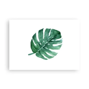 Poster - Groen concept - 70x50 cm