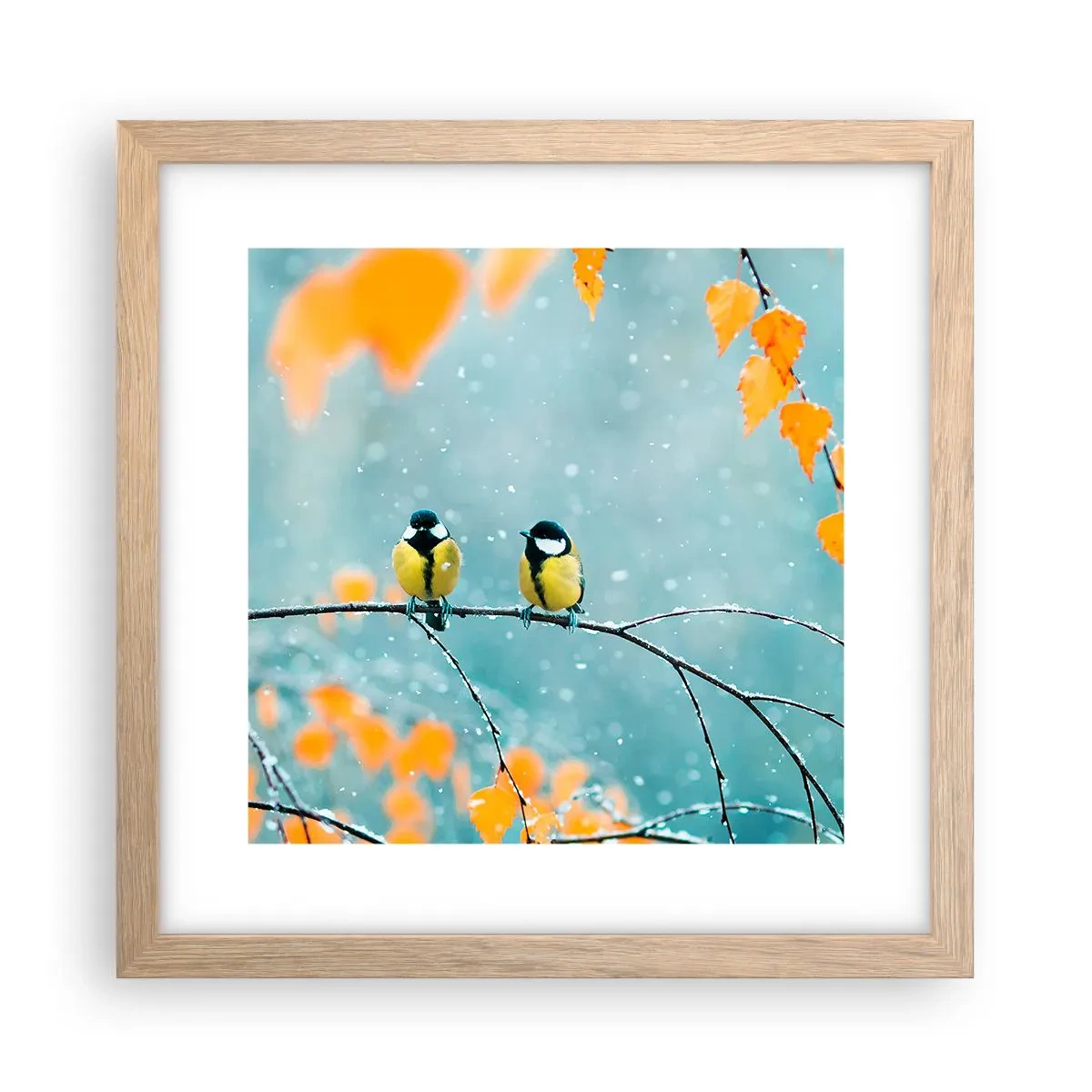 Een poster in een licht eiken lijst - Vogelroddel - 30x30 cm