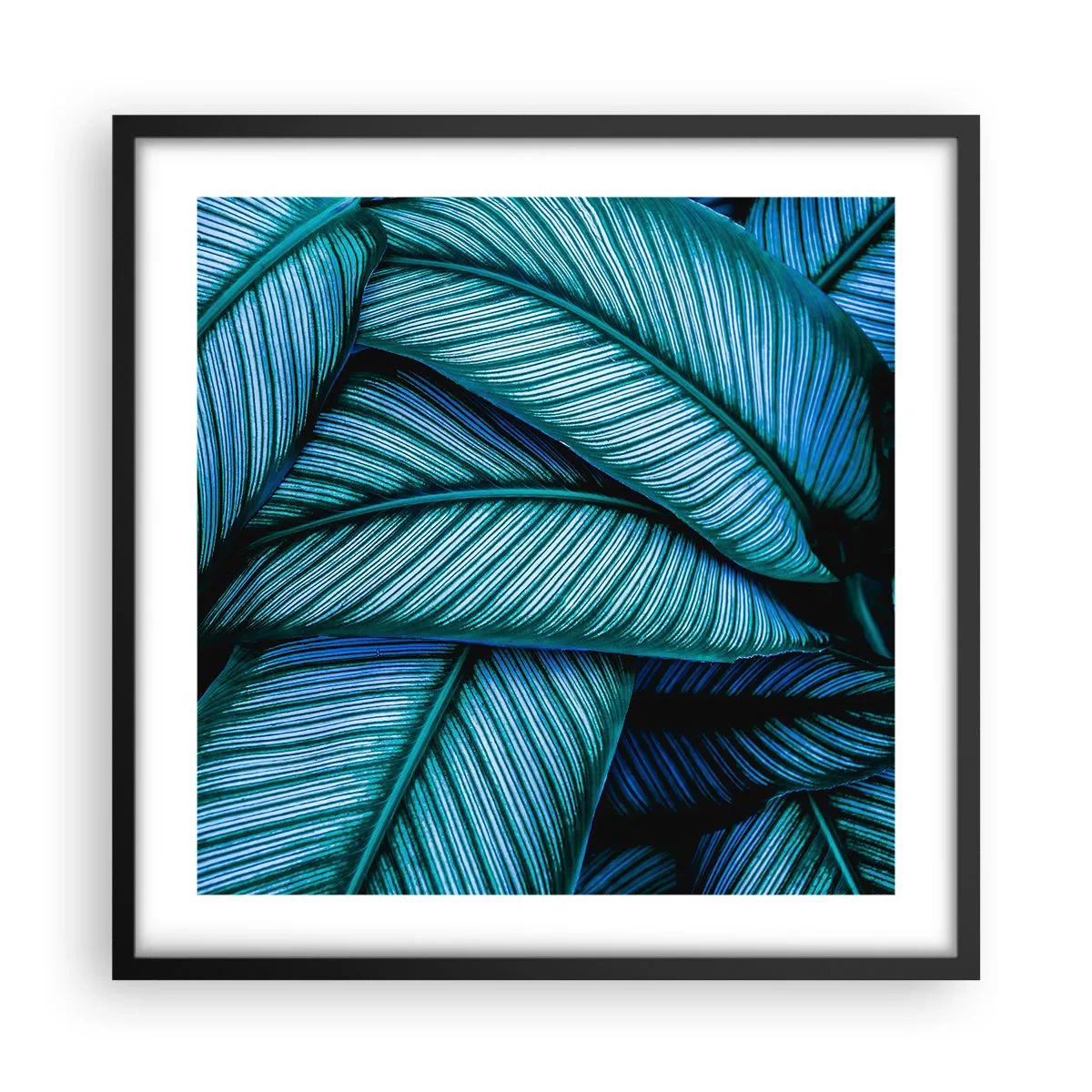 Poster in een zwarte lijst - Levens lijnen - 50x50 cm