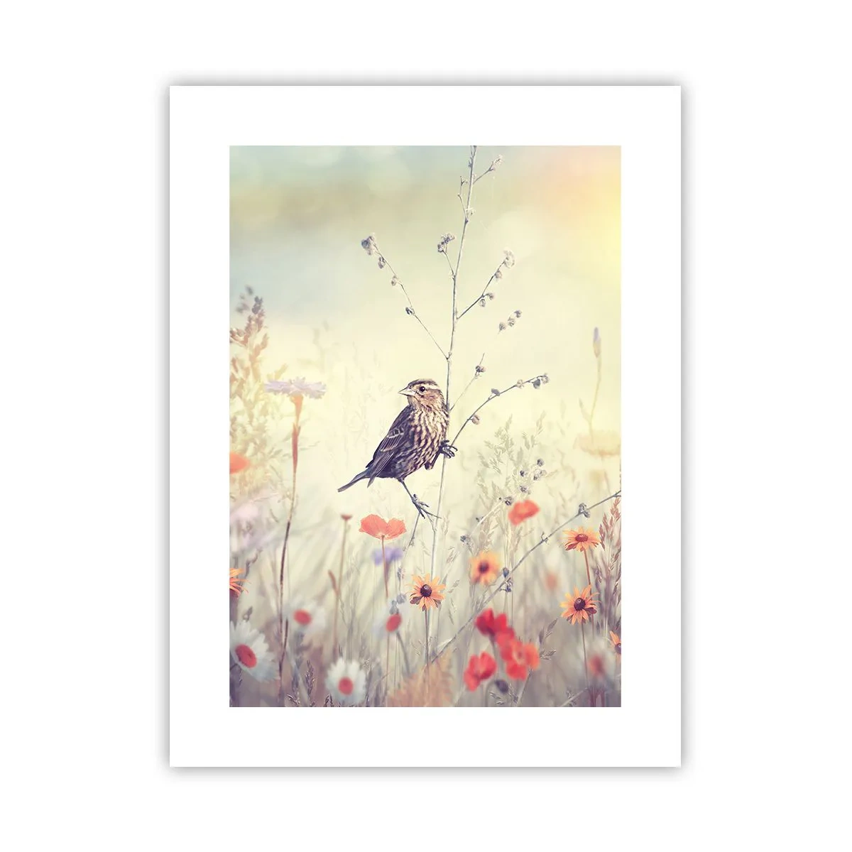 Poster - Vogelportret met een weiland op de achtergrond - 30x40 cm