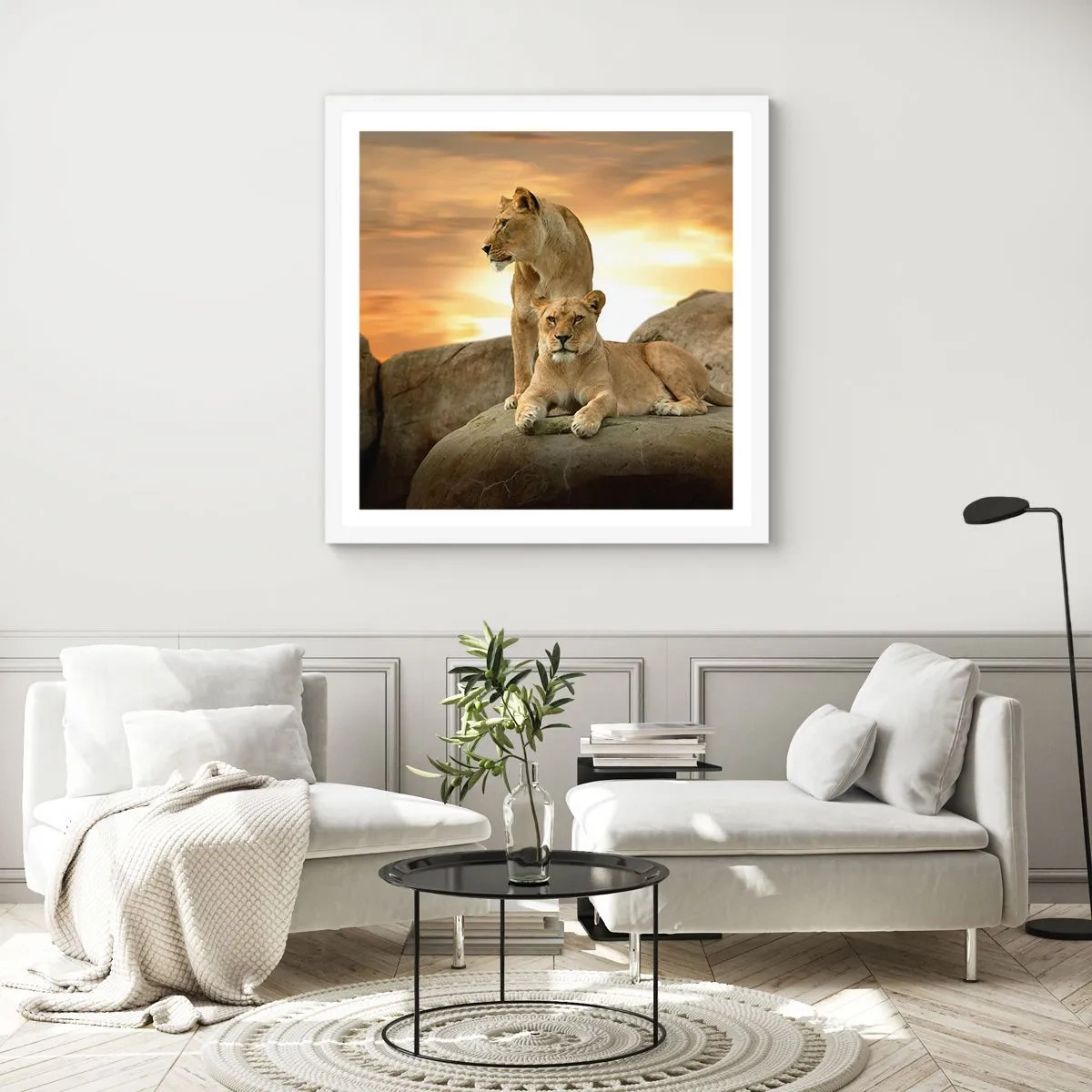 Poster in een witte lijst - Koninklijke majesteit - 30x30 cm