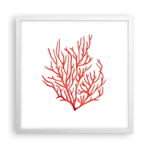 Poster in een witte lijst - Koraal filigraan - 40x40 cm