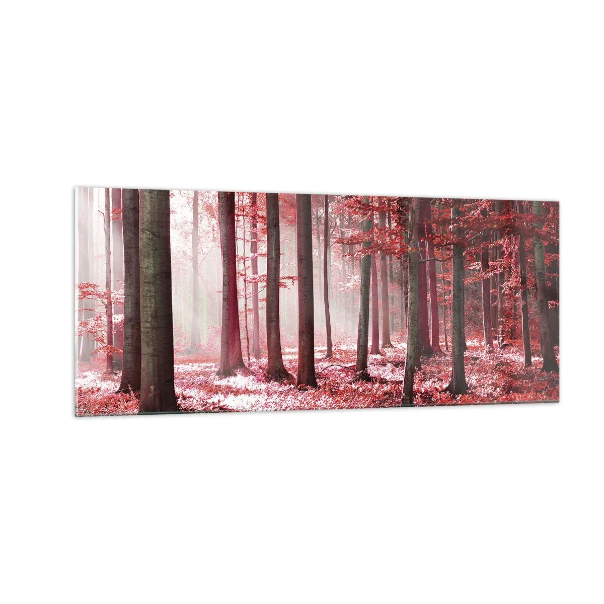 Schilderen op glas - Rood is net zo mooi - 100x40 cm