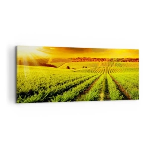 Schilderen op canvas - Onder de Australische zon - 100x40 cm