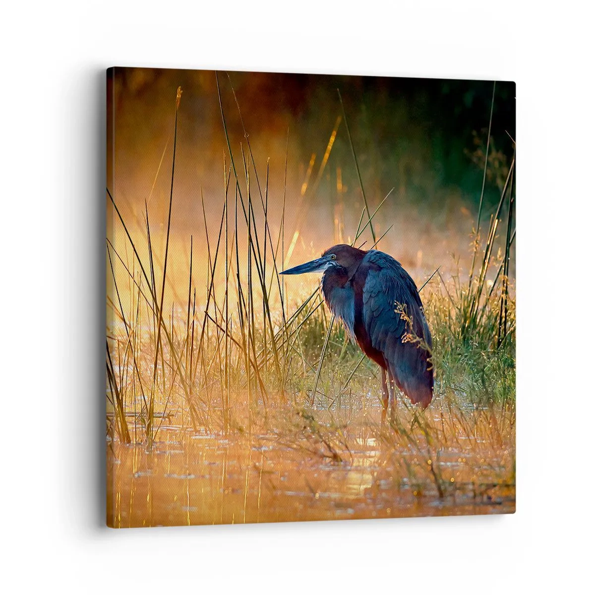 Schilderen op canvas - Kom op, geef me een pauze met deze foto's - 40x40 cm