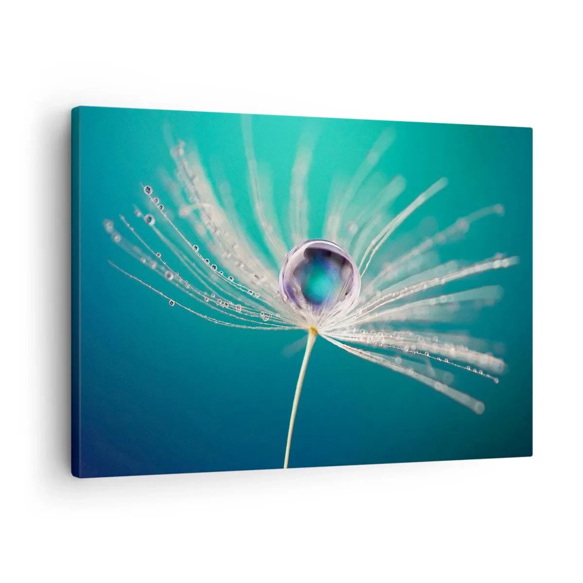 Schilderen op canvas - Macro van een druppel water op een teer paardenbloemzaadje - 70x50cm - Mystiek moment - Moderne wanddecoratie voor woonkamer en slaapkamer ARTTOR