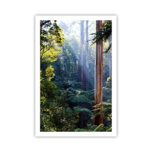 Poster - Een bossprookje - 61x91 cm