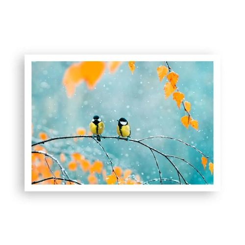 Poster - Vogelroddel - 100x70 cm