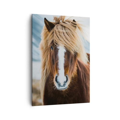 Schilderen op canvas - Voel jij je vrij? - 50x70 cm