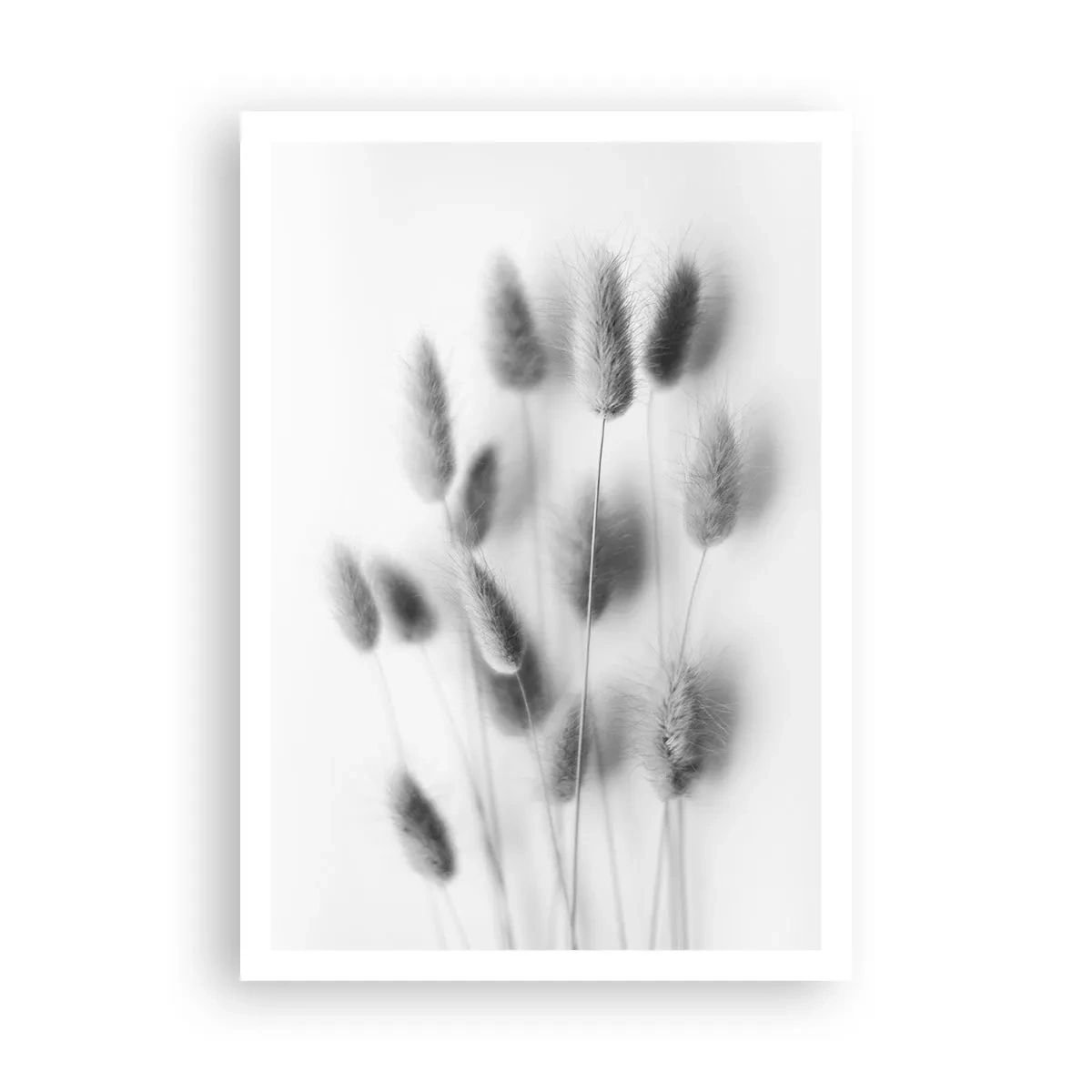 Poster - Haar luchtigheid gras - 70x100 cm