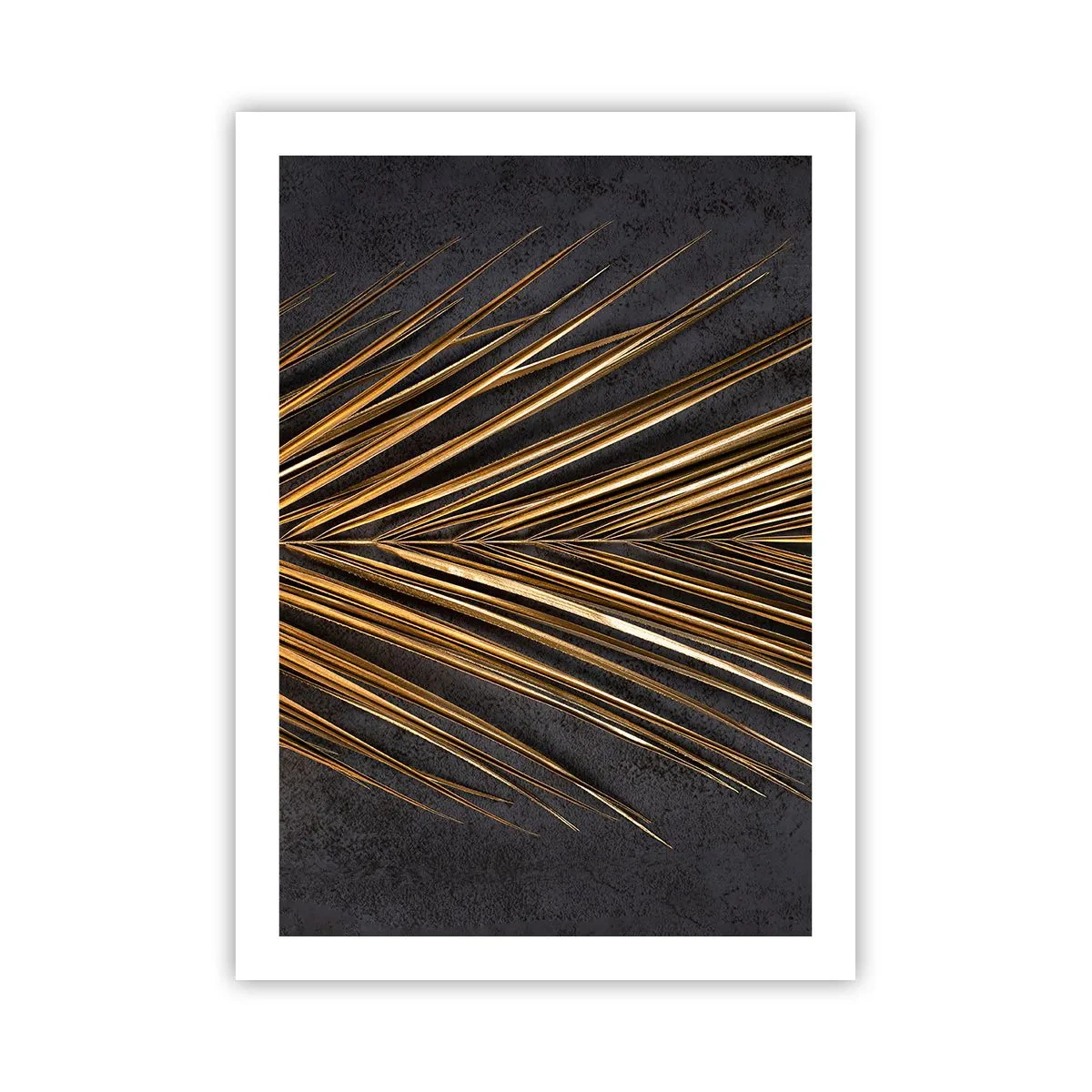 Poster - Het goud van de tropen - 50x70 cm