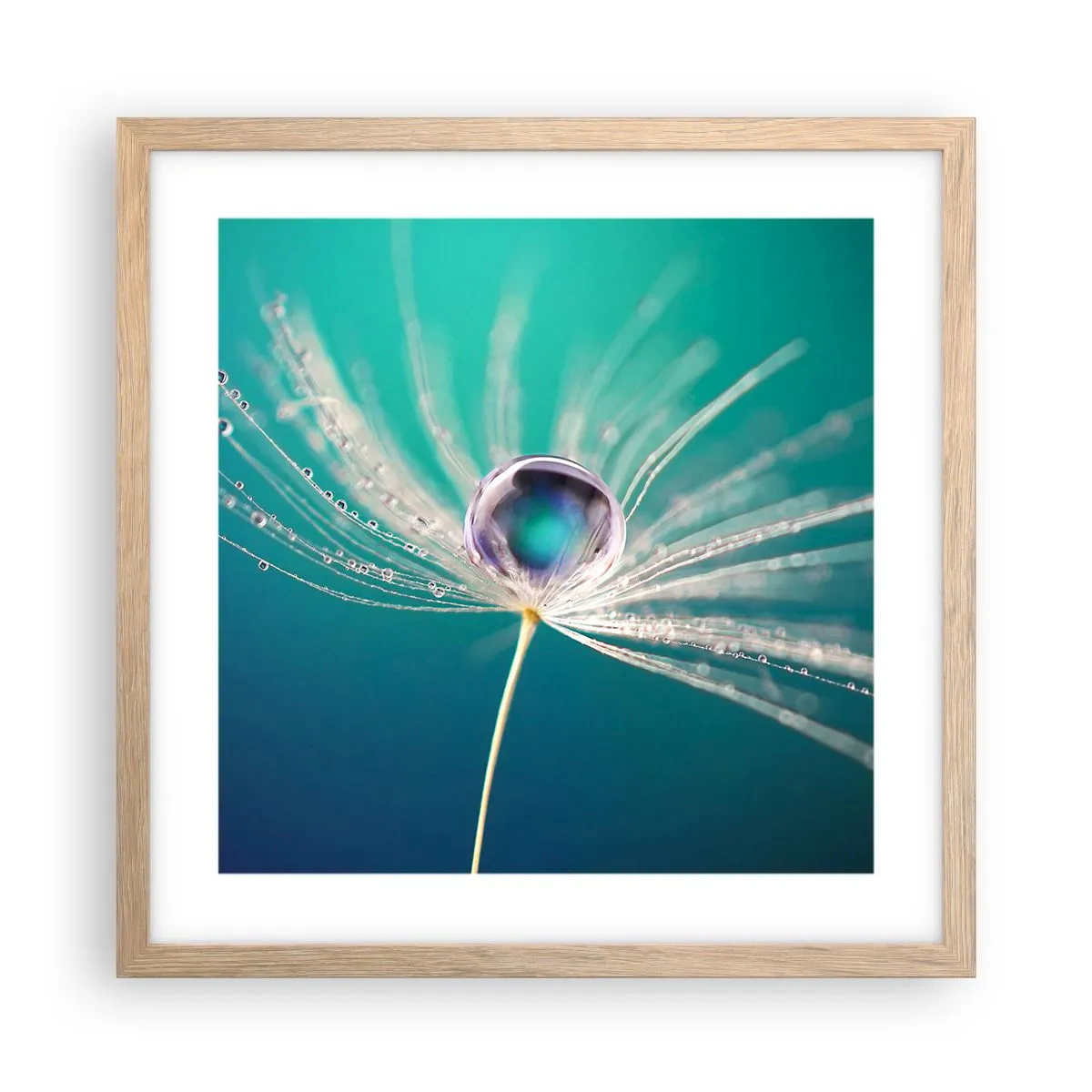 Een poster in een licht eiken lijst - Mystiek moment - 40x40 cm