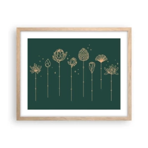 Een poster in een licht eiken lijst - Kruidenfamiie / Familie Ziółkowsi ?? - 50x40 cm