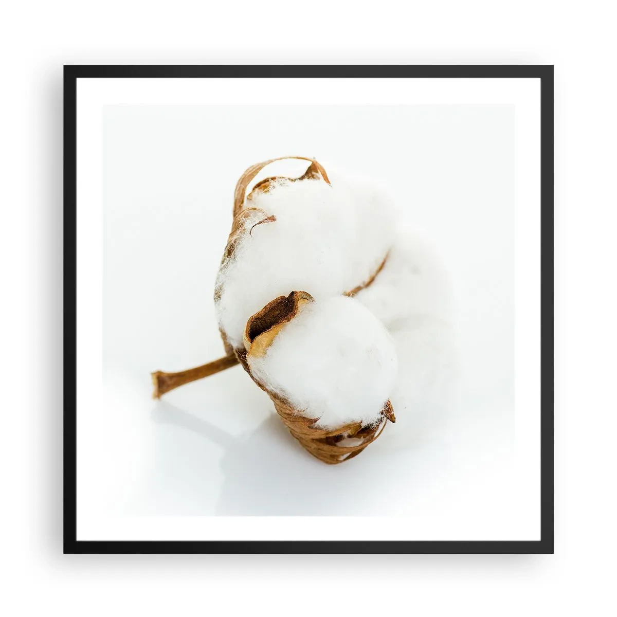 Poster in een zwarte lijst - Zacht van aard - 60x60 cm