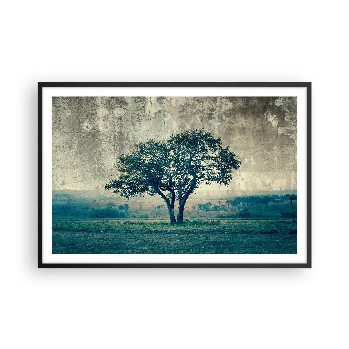 Poster in een zwarte lijst - Een appelboom op een blauw veld? - 91x61 cm