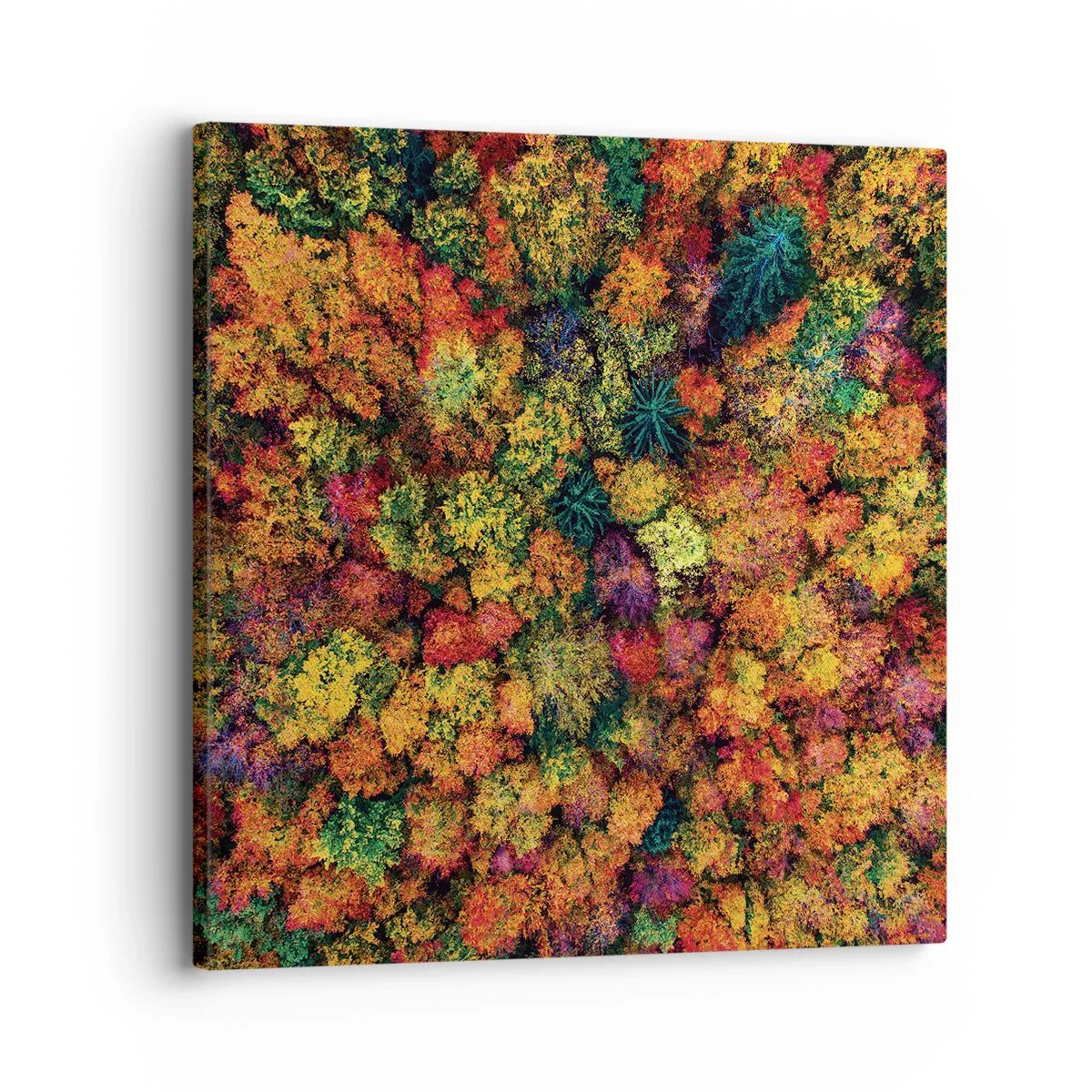 Schilderen op canvas - Boeket herfstbomen - 30x30 cm