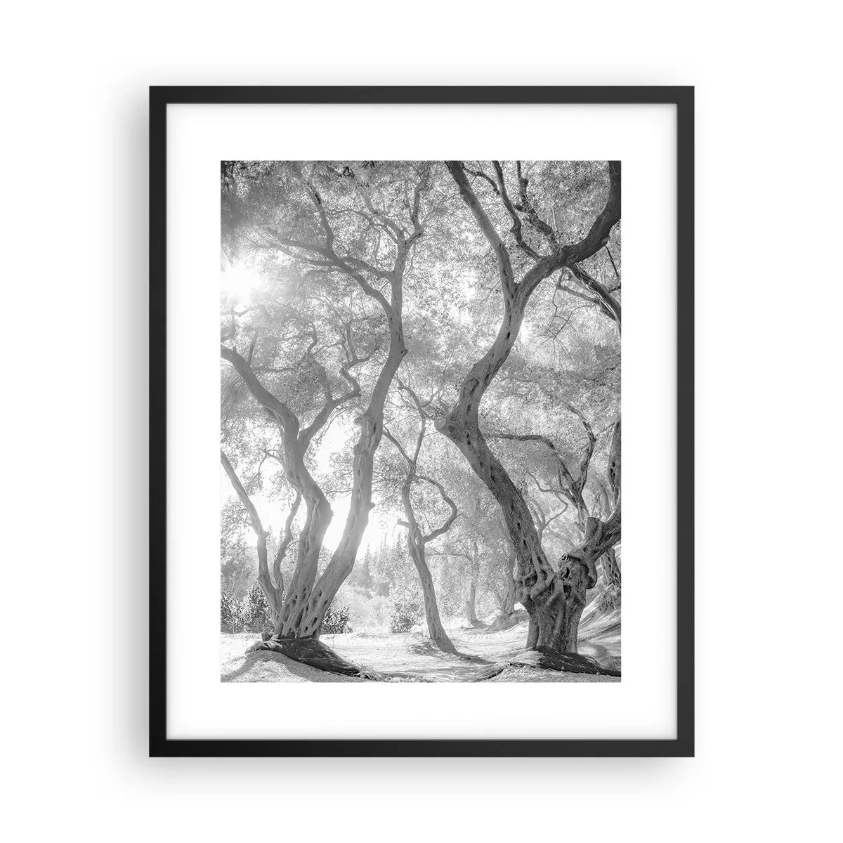 Poster in een zwarte lijst - In de olijfboomgaard - 40x50 cm