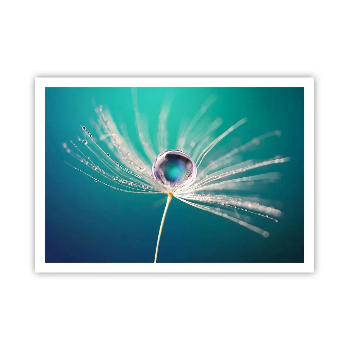 Poster - Mystiek moment - 100x70 cm