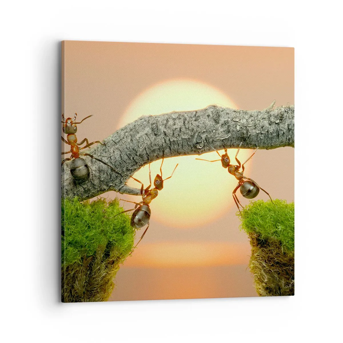 Schilderen op canvas - Gelukkig samenwerken - 70x70 cm