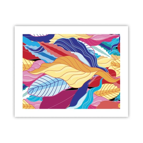 Poster - Een kleurrijke puinhoop - 50x40 cm