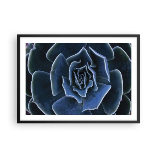 Poster in een zwarte lijst - Woestijn bloem - 70x50 cm