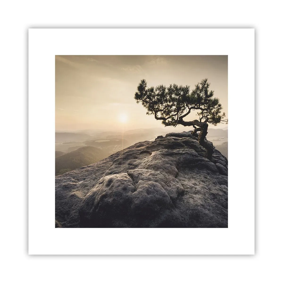 Poster - Het leven wint altijd - 30x30 cm