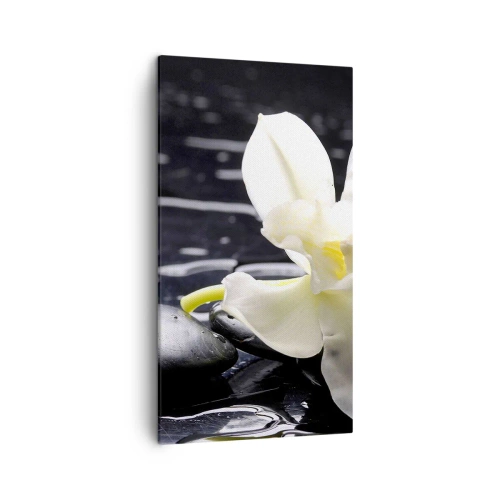 Schilderen op canvas - Een studie in zwart-wit - 45x80 cm