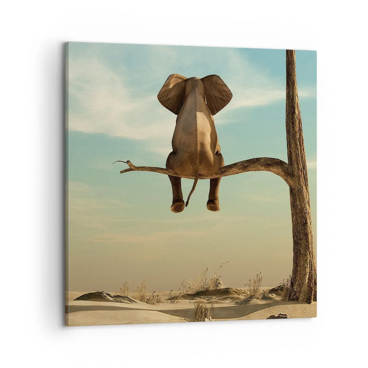 Schilderen op canvas - Een nieuw gezichtspunt - 50x50 cm