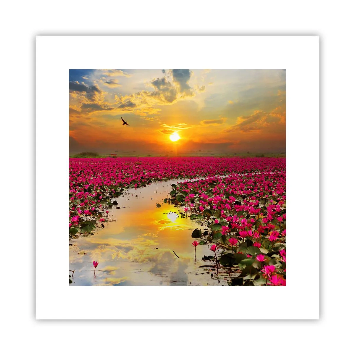 Poster - Het geheime leven van het meer - 30x30 cm