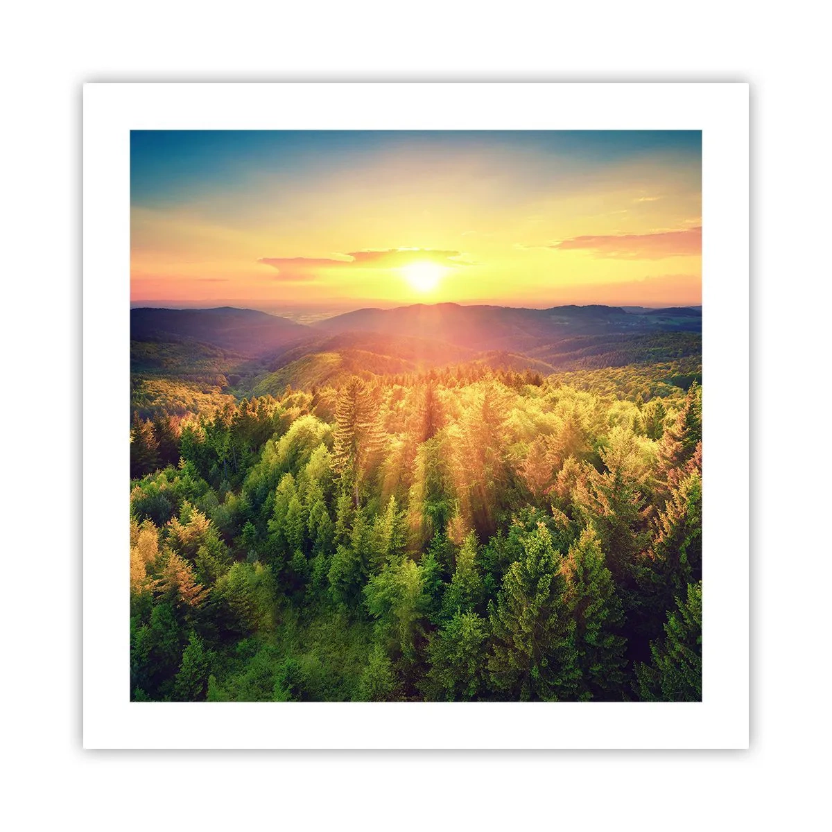 Poster - Hoekpunten en topjes - 50x50 cm